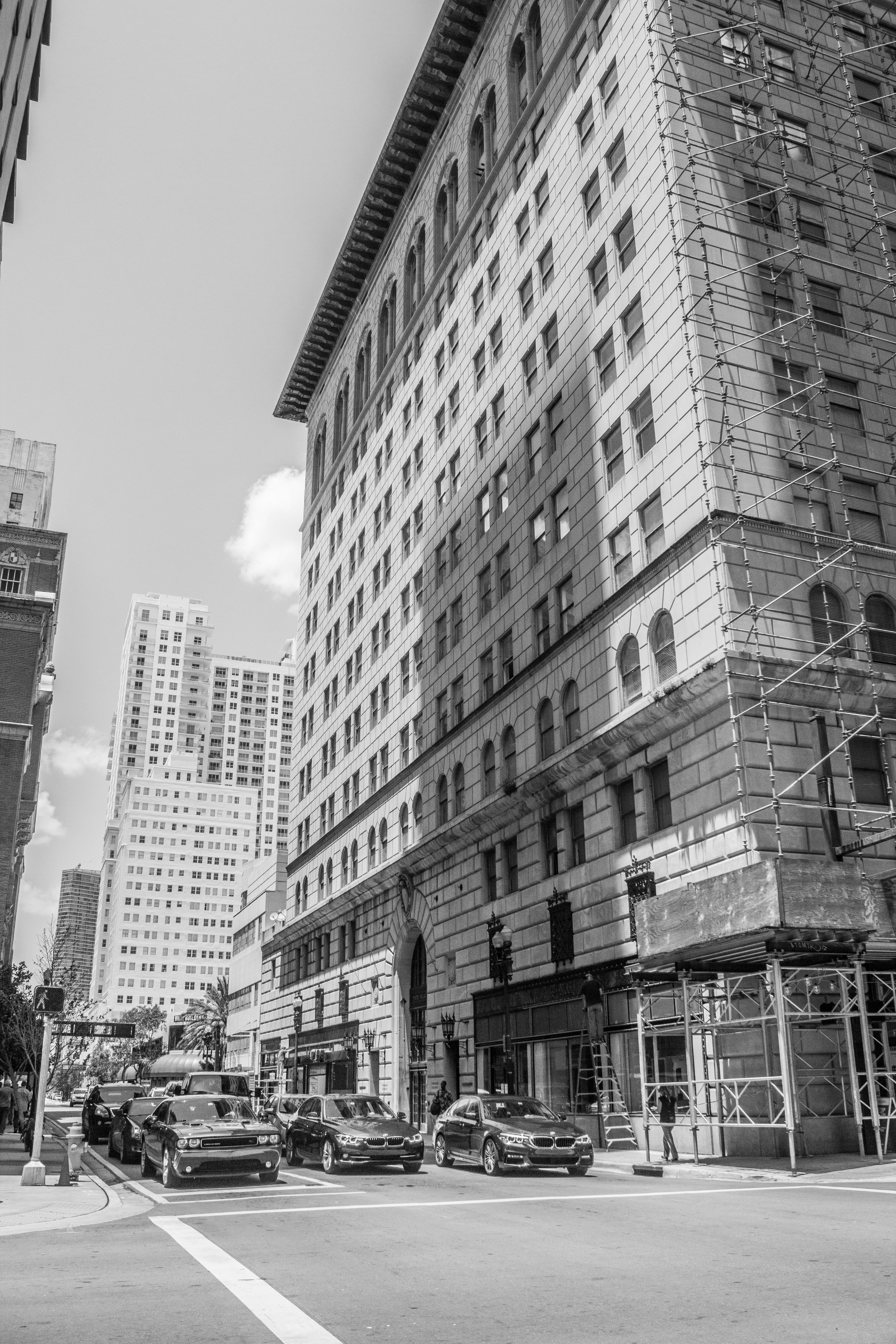 Photo by taravinesmith