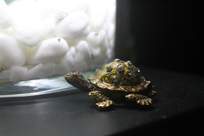A small, decorative metal turtle figurine is positioned on a dark surface. It has a shell adorned with bright, shimmering stones. In the background, a glass vase is filled with small, smooth white stones.