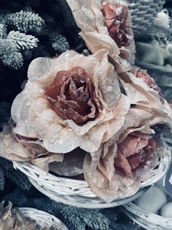 A cluster of blush pink artificial roses adorned with translucent beads is nestled in a white woven basket. The roses have a frosty appearance, resembling morning dew or ice crystals. The setting is complemented by the presence of green, frosted pine branches, suggesting a winter or holiday theme.