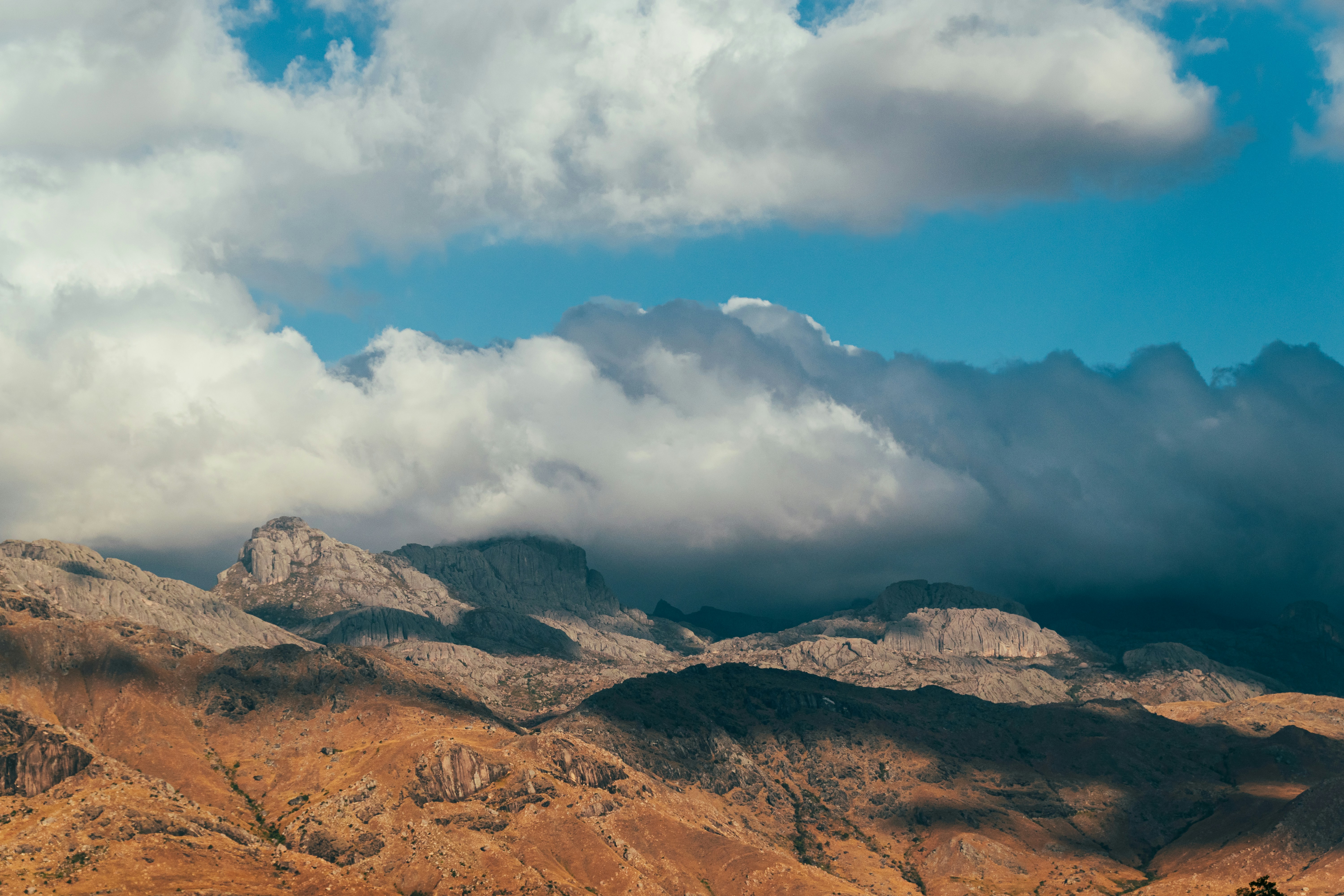 Photo by gsuarezllana