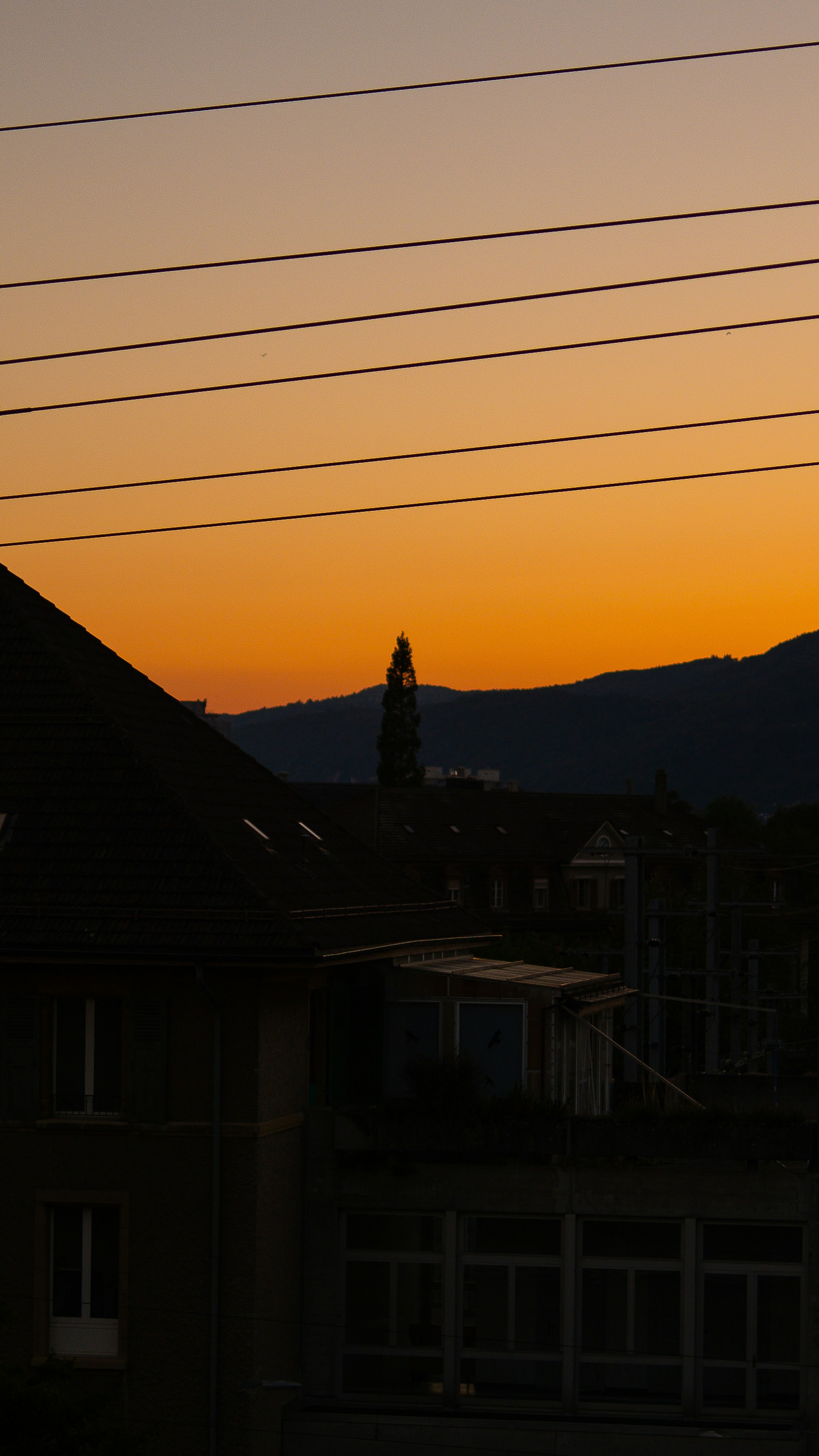 Photo by mono_log