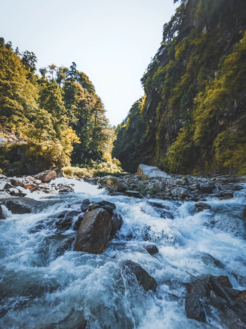 Yamuna river rushing through the forested valley below Yamunotri