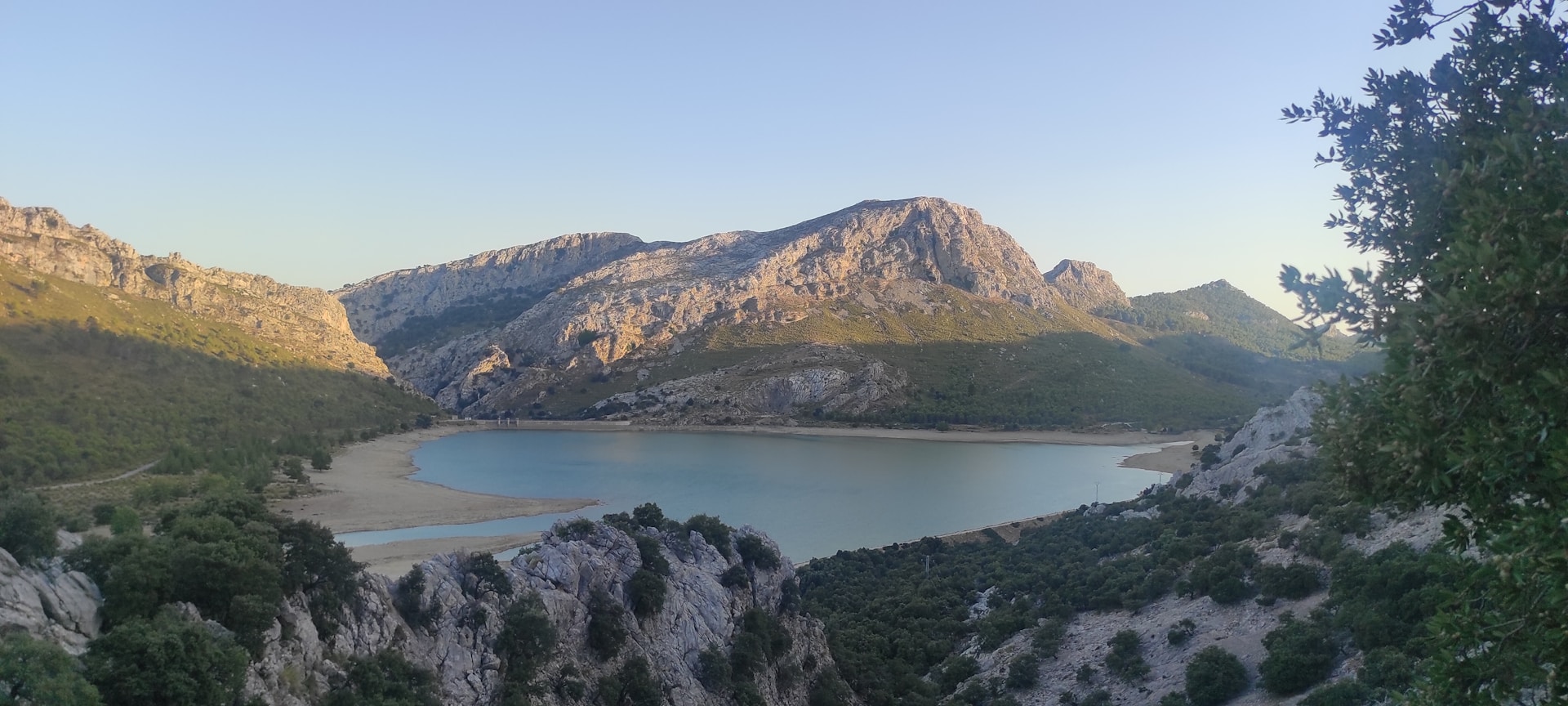 A serene landscape with soft natural light highlighting the textures of the environment.