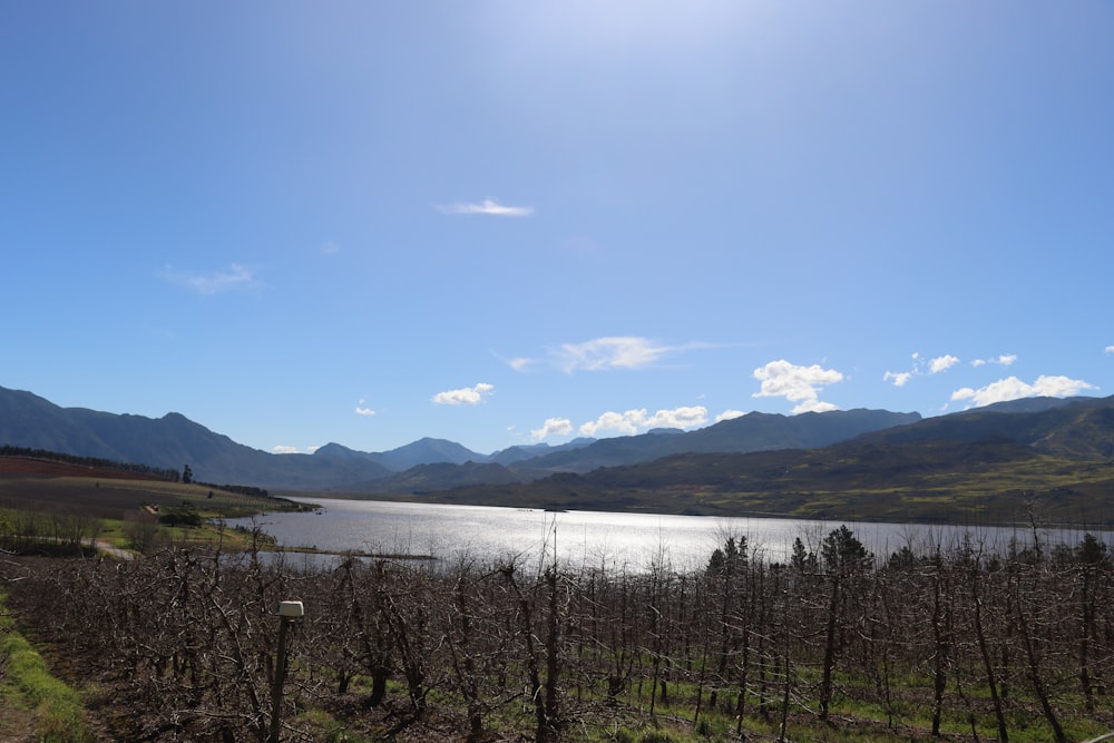 a large body of water surrounded by mountains