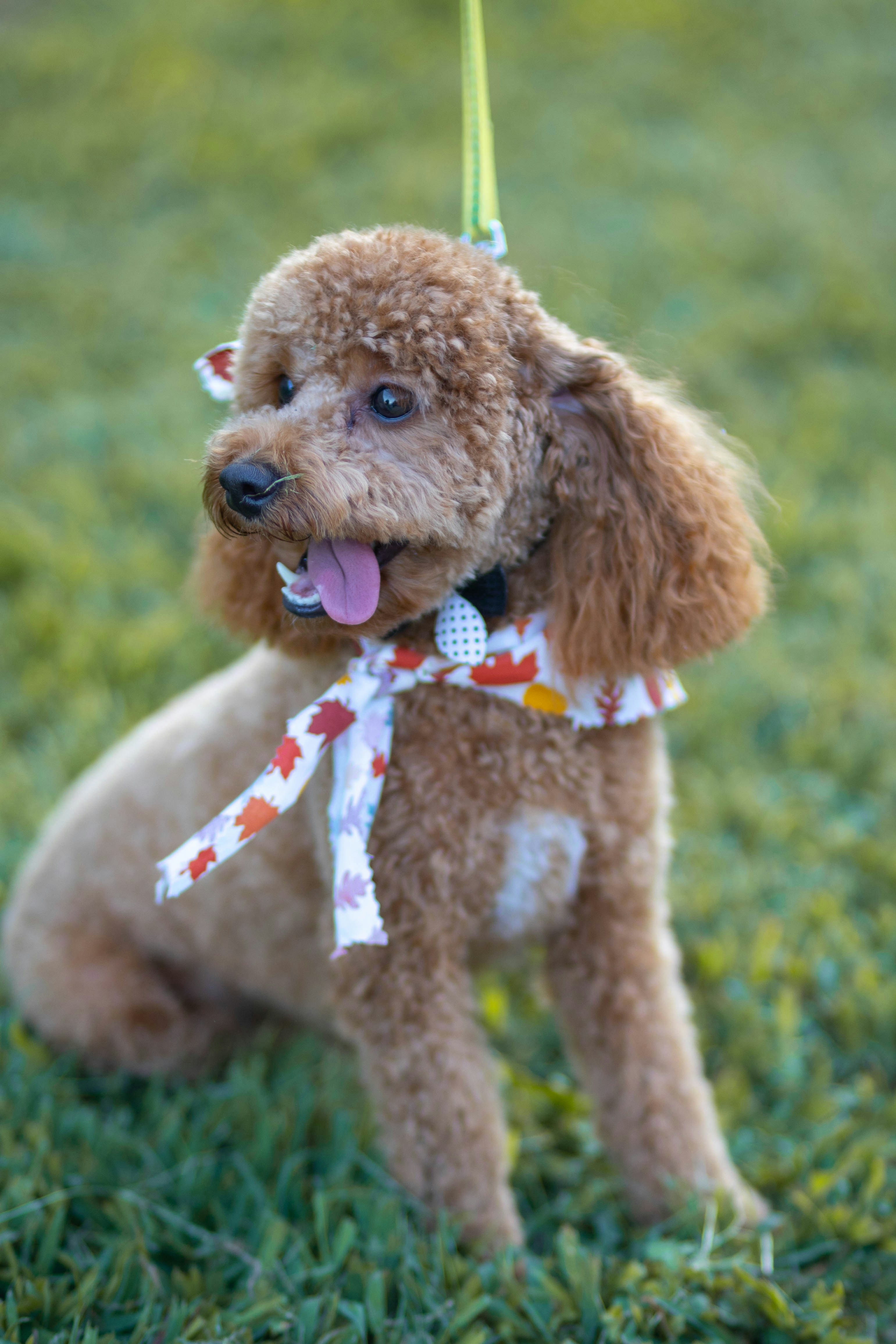 Photo by brookebalentine