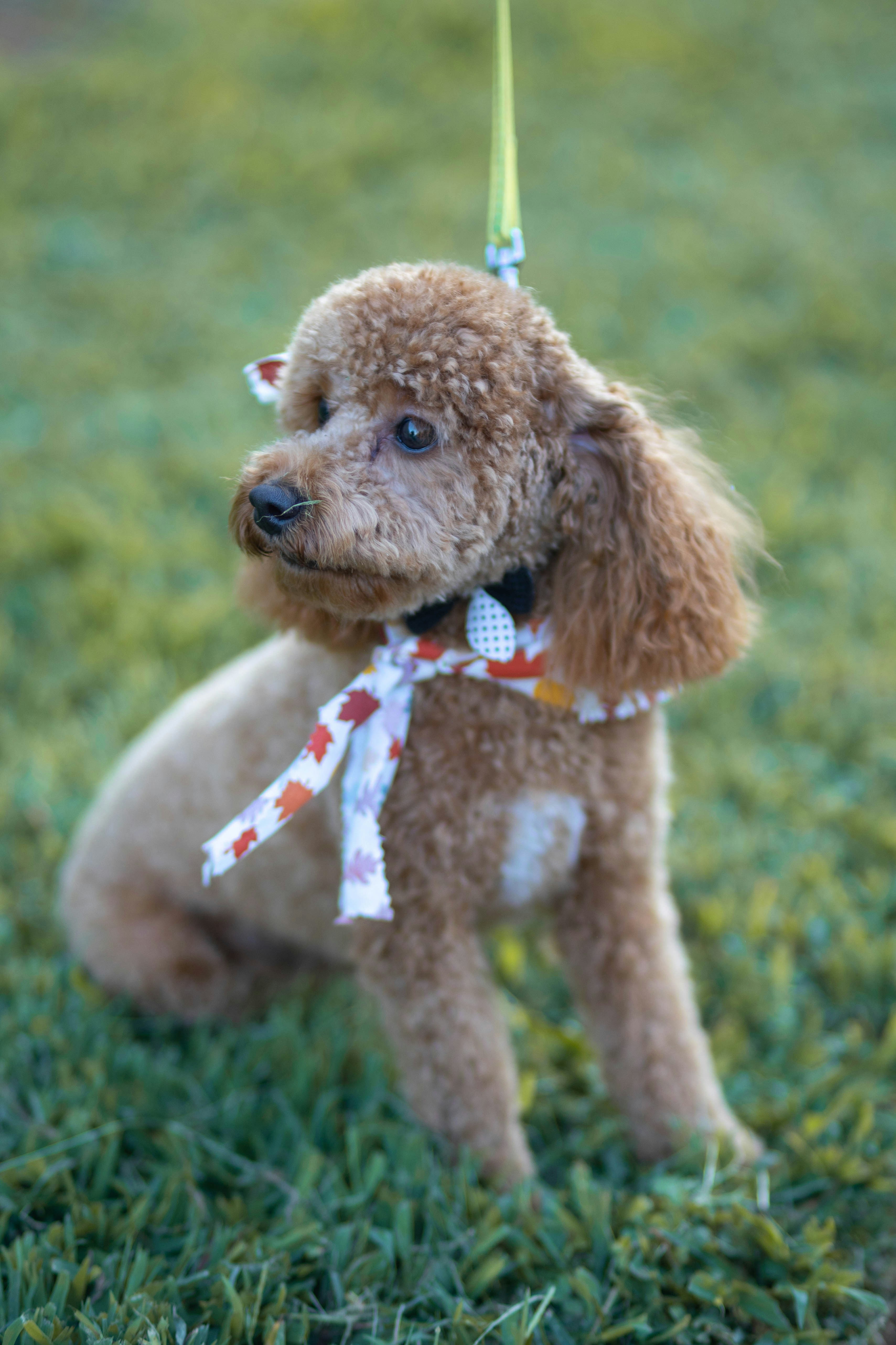 Photo by brookebalentine