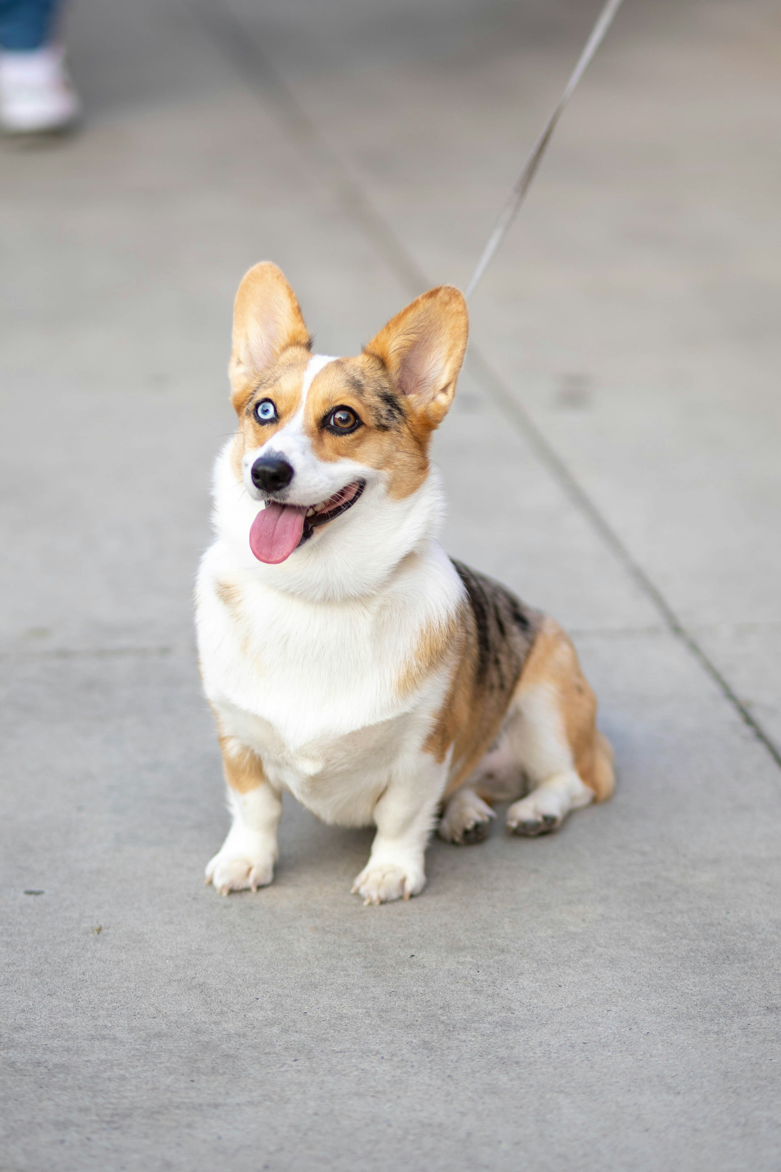 Photo by brookebalentine