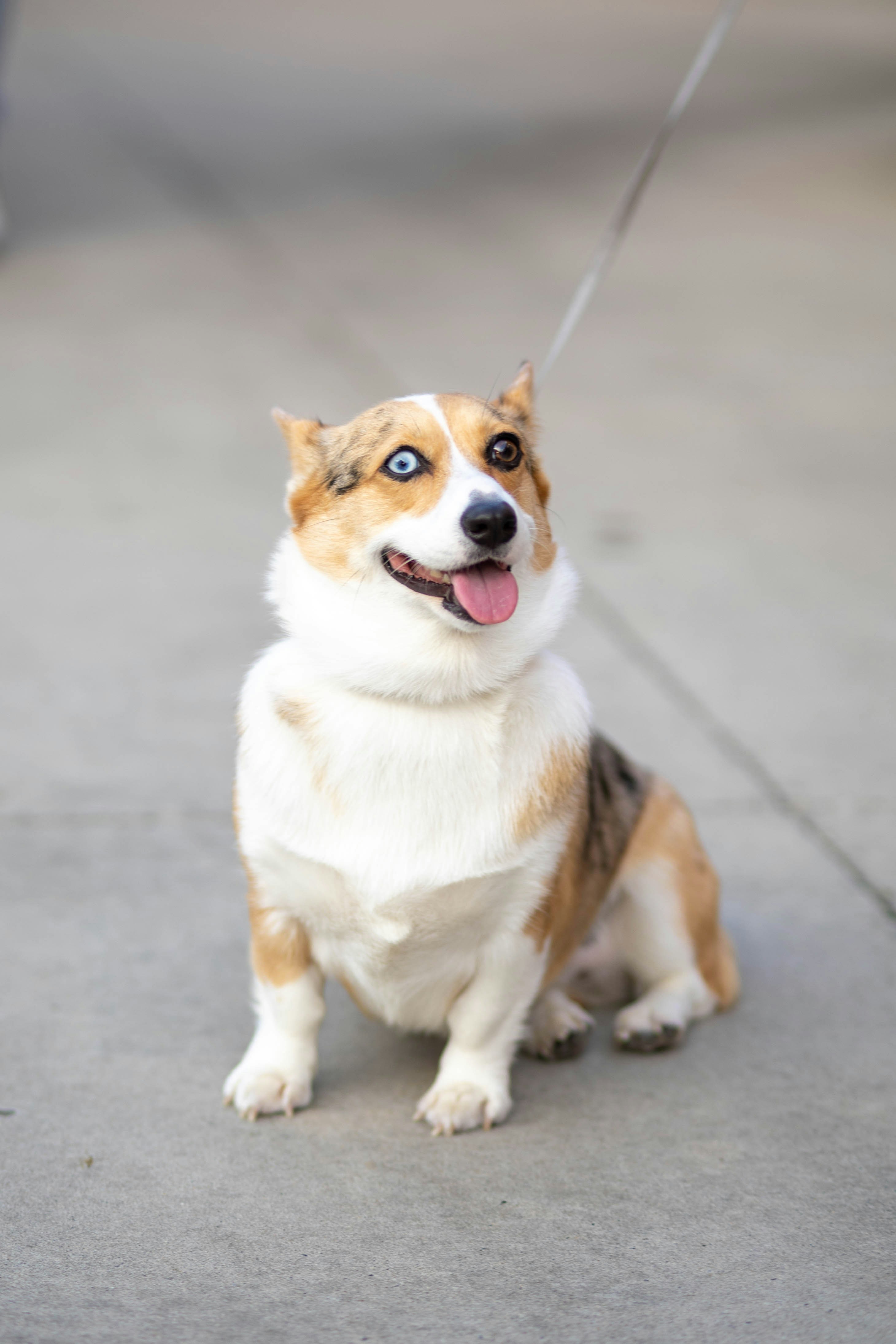 Photo by brookebalentine