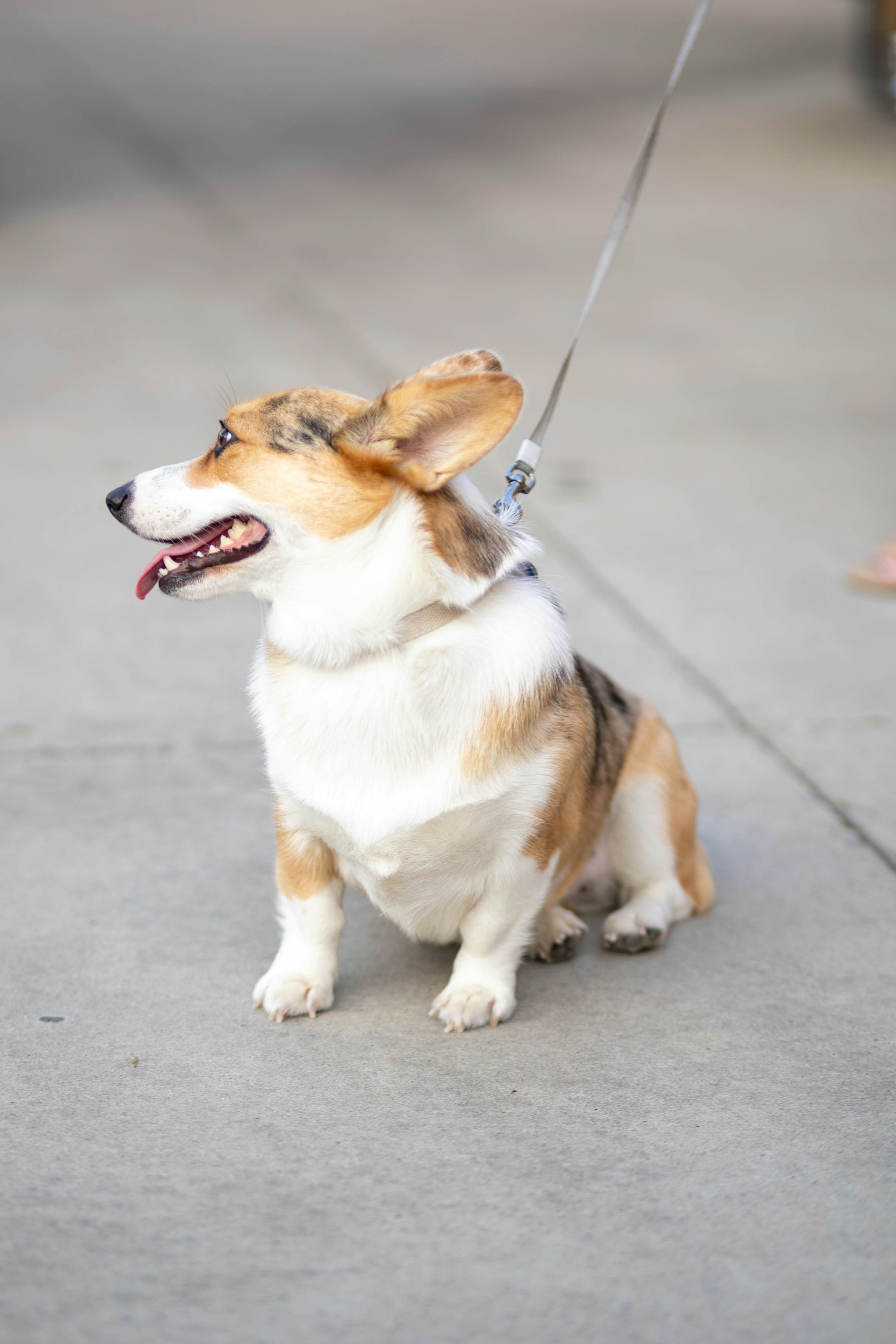 Photo by brookebalentine