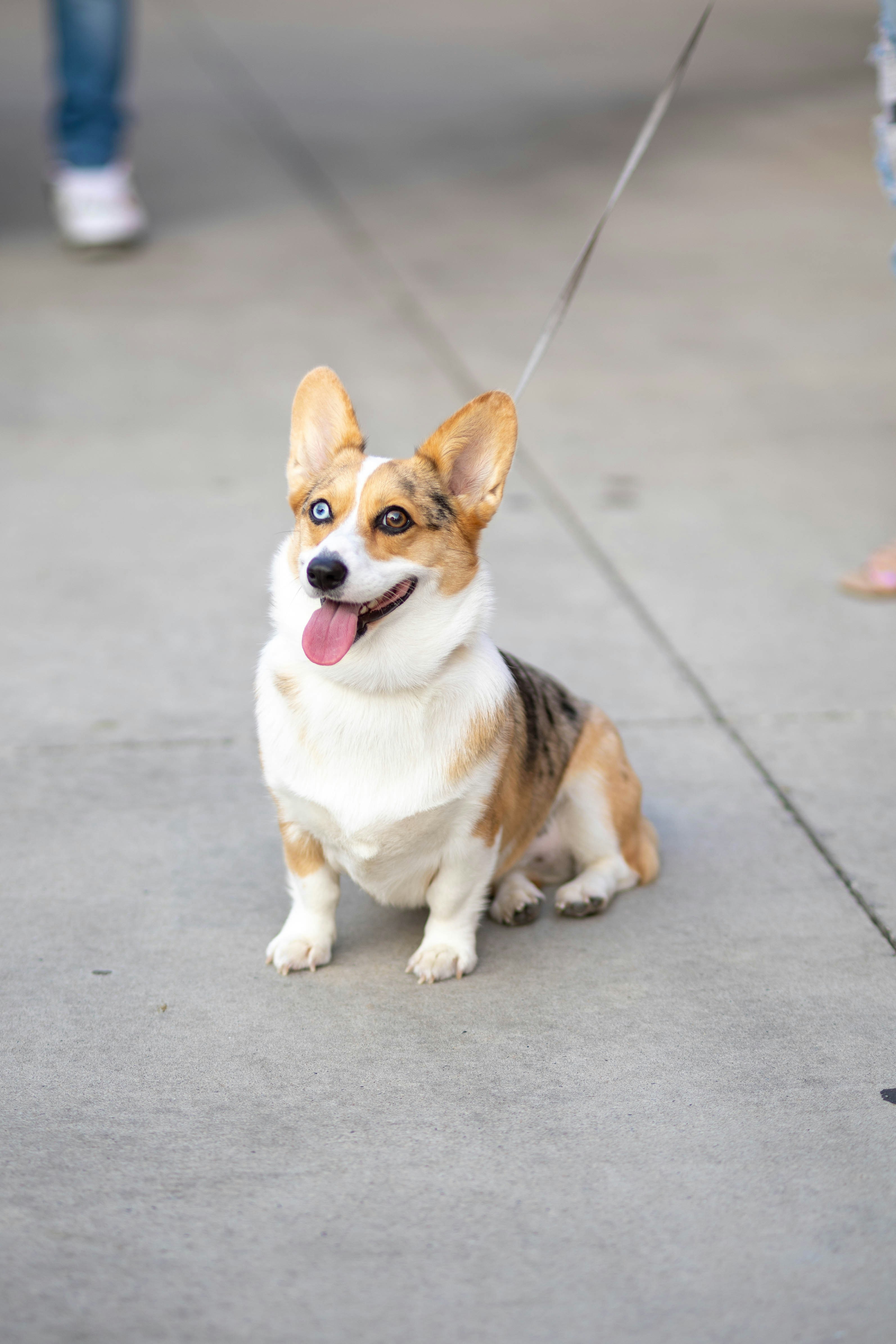 Photo by brookebalentine