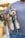 A small, fluffy dog with pointed ears and light brown and white fur is held by a person's arm. The dog wears a harness attached to a green and blue leash. The person is wearing a ribbed gray short-sleeve shirt and jeans. The background is slightly blurred, featuring hints of greenery and light tones.