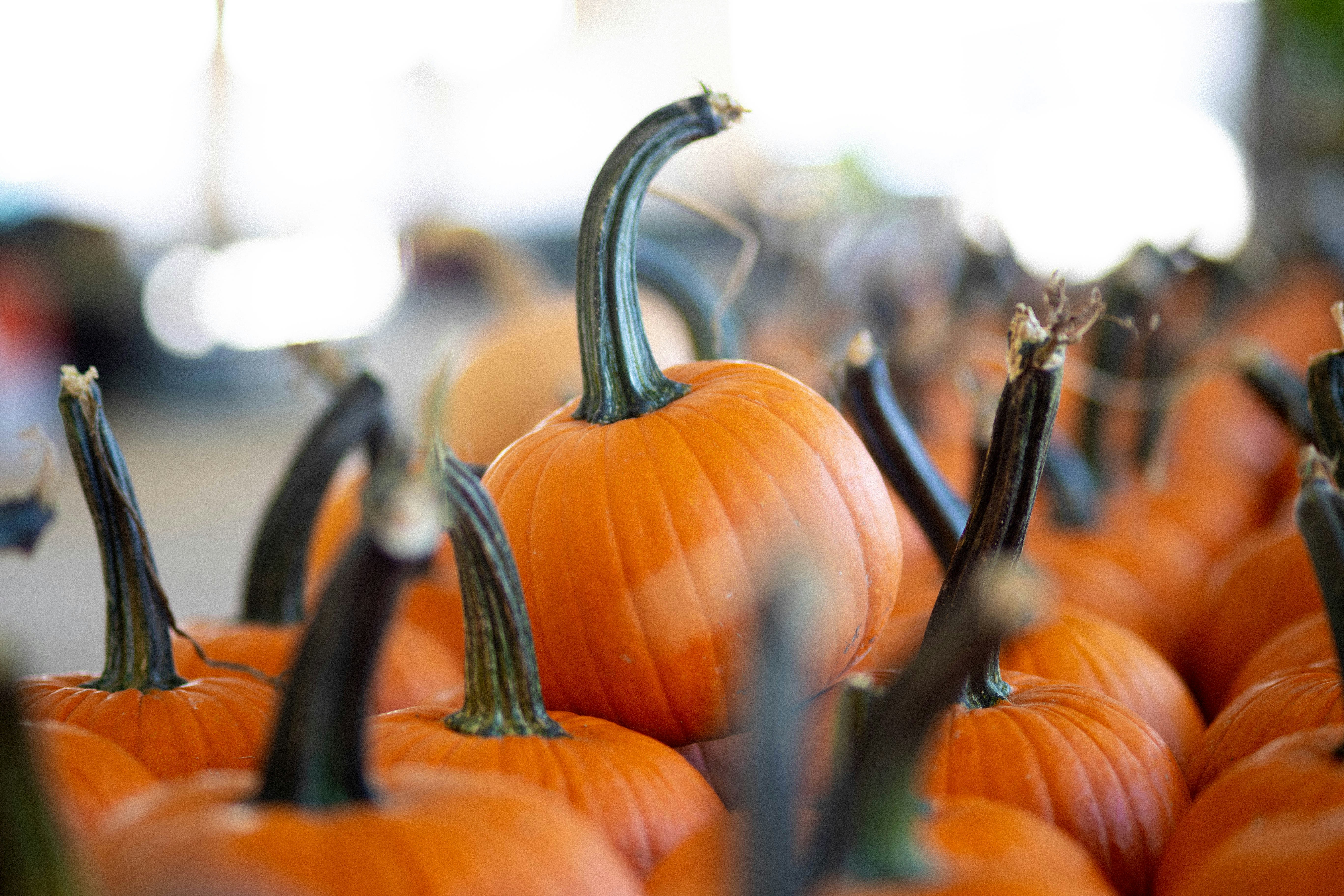 Photo by brookebalentine