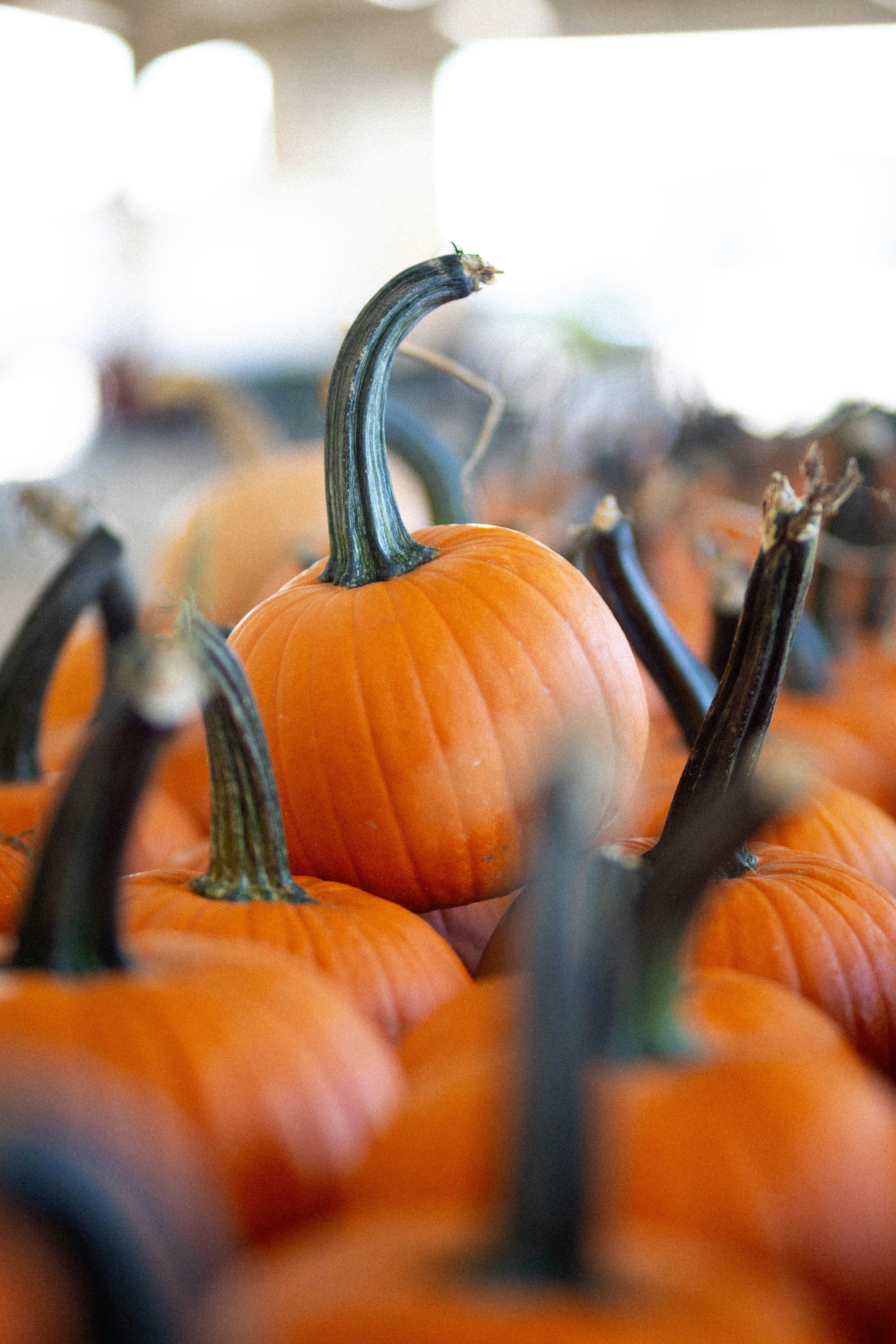 Photo by brookebalentine