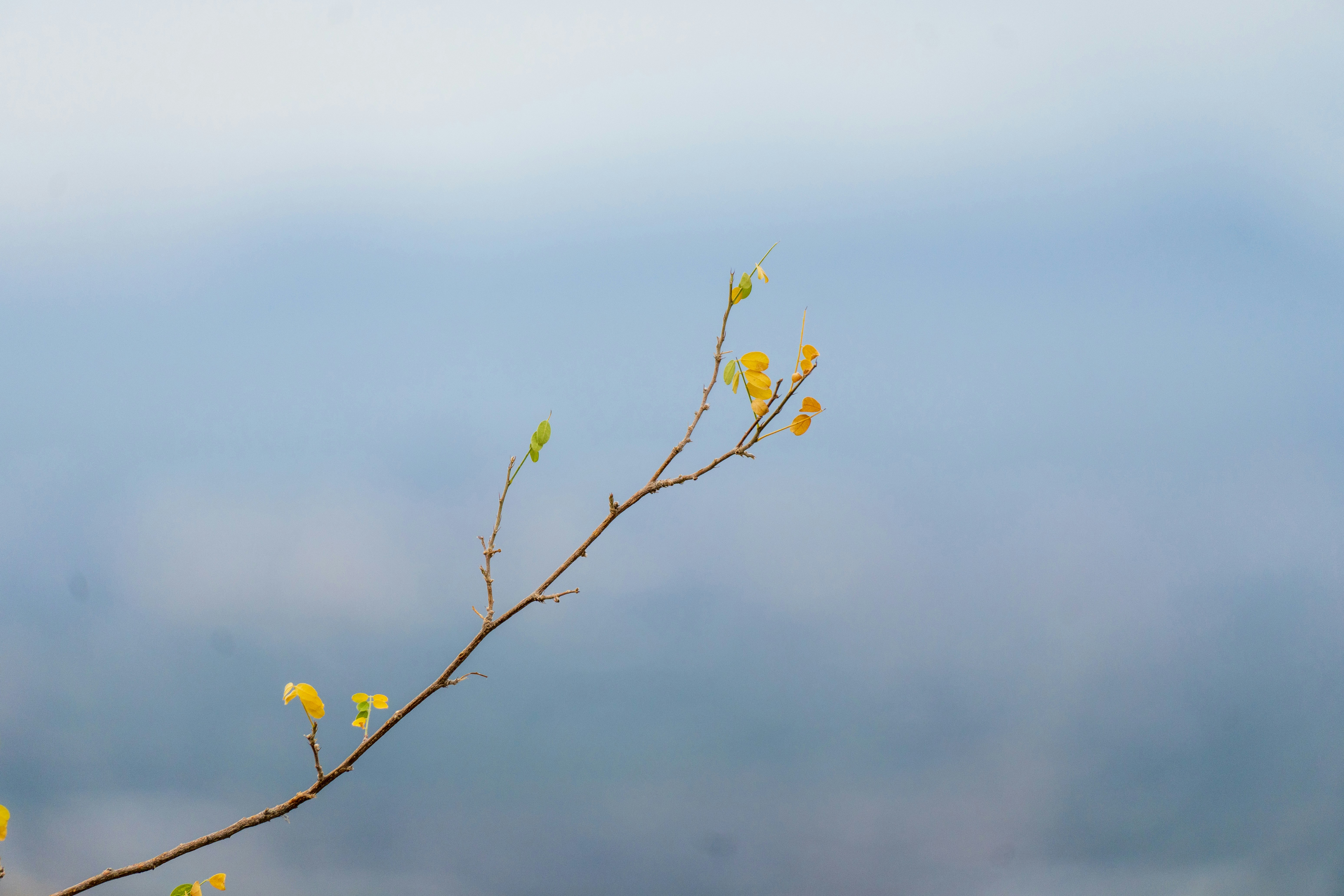 Photo by jcnonstop87