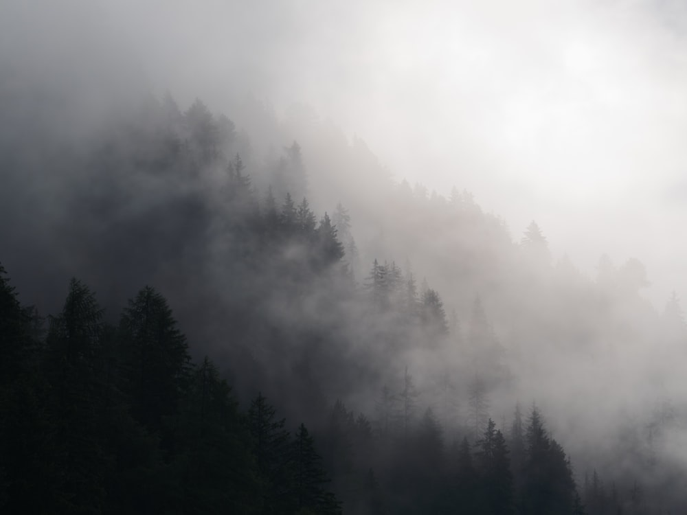 a mountain covered in fog and trees on a cloudy day