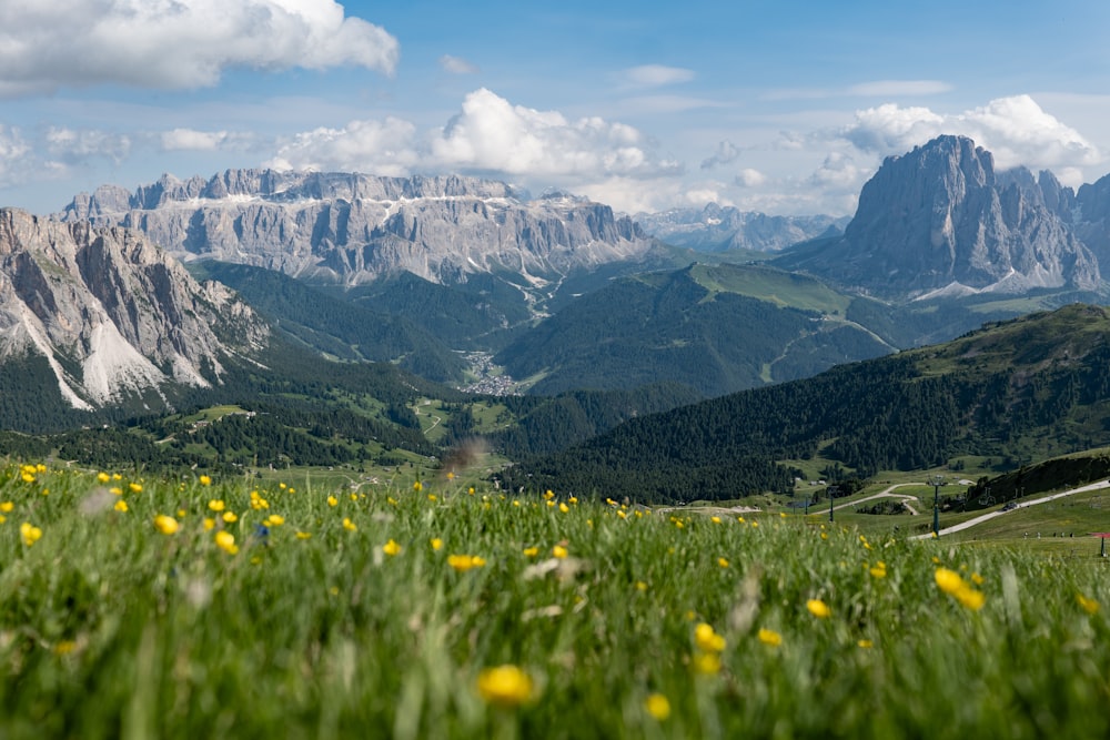 a grassy field with yellow flowers in the foreground and mountains in the background