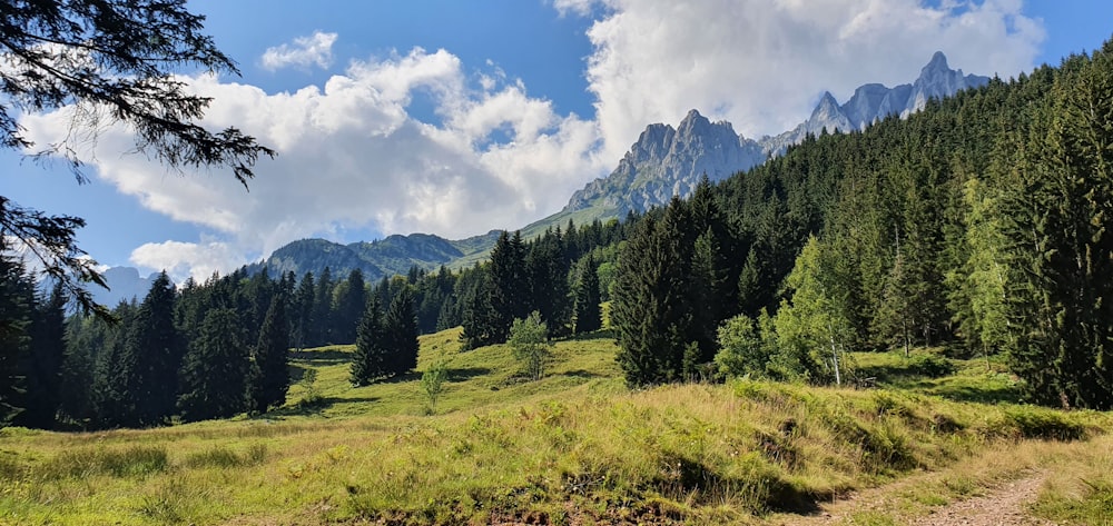 a grassy field with trees and mountains in the background