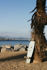 A skateboard is leaning against a palm tree on a sandy beach. In the background, there are large rocks near the shoreline, with a view of the sea and distant cityscape featuring tall buildings. The sky is clear with minimal clouds.