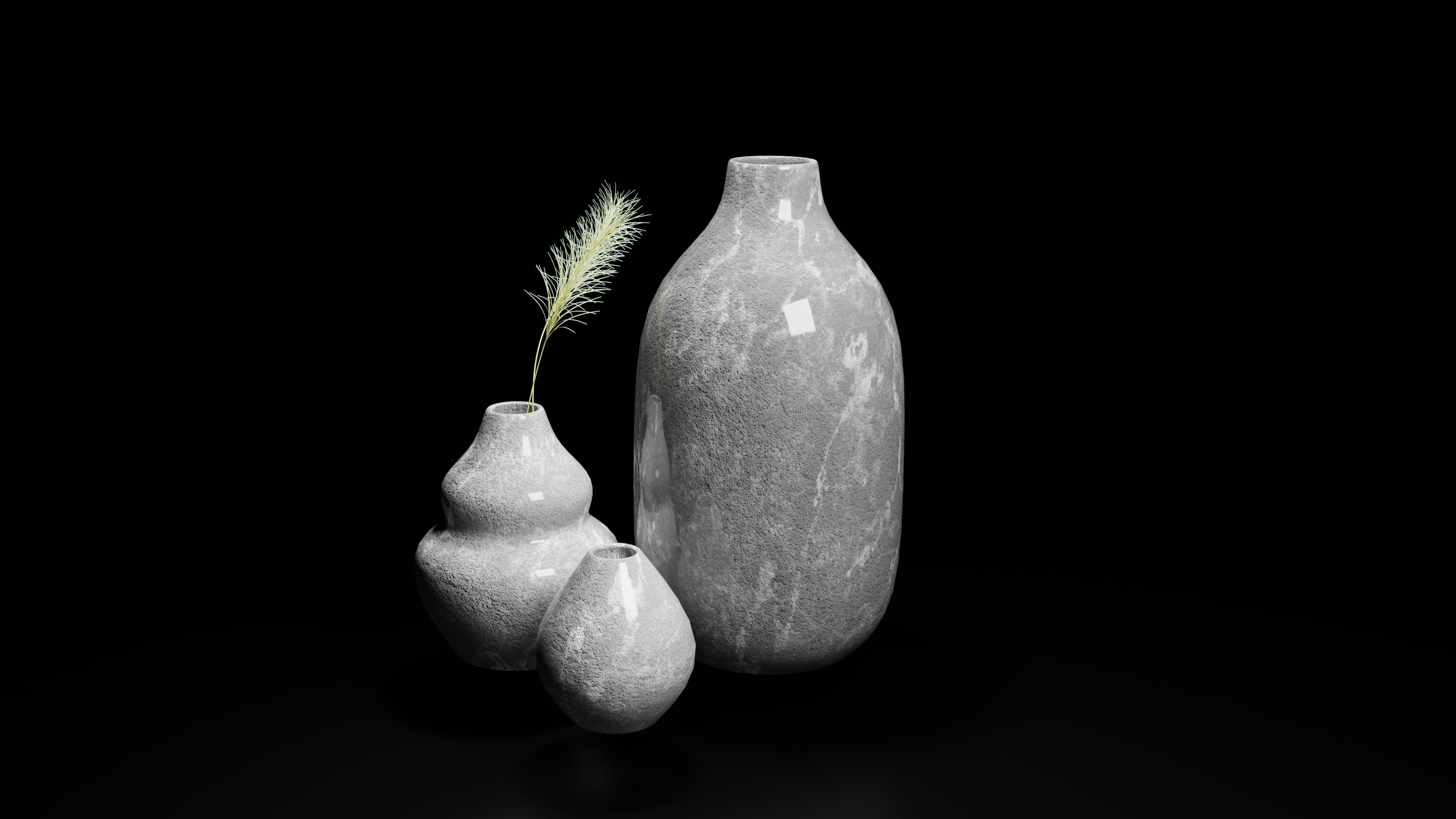 a black and white photo of two vases and a plant