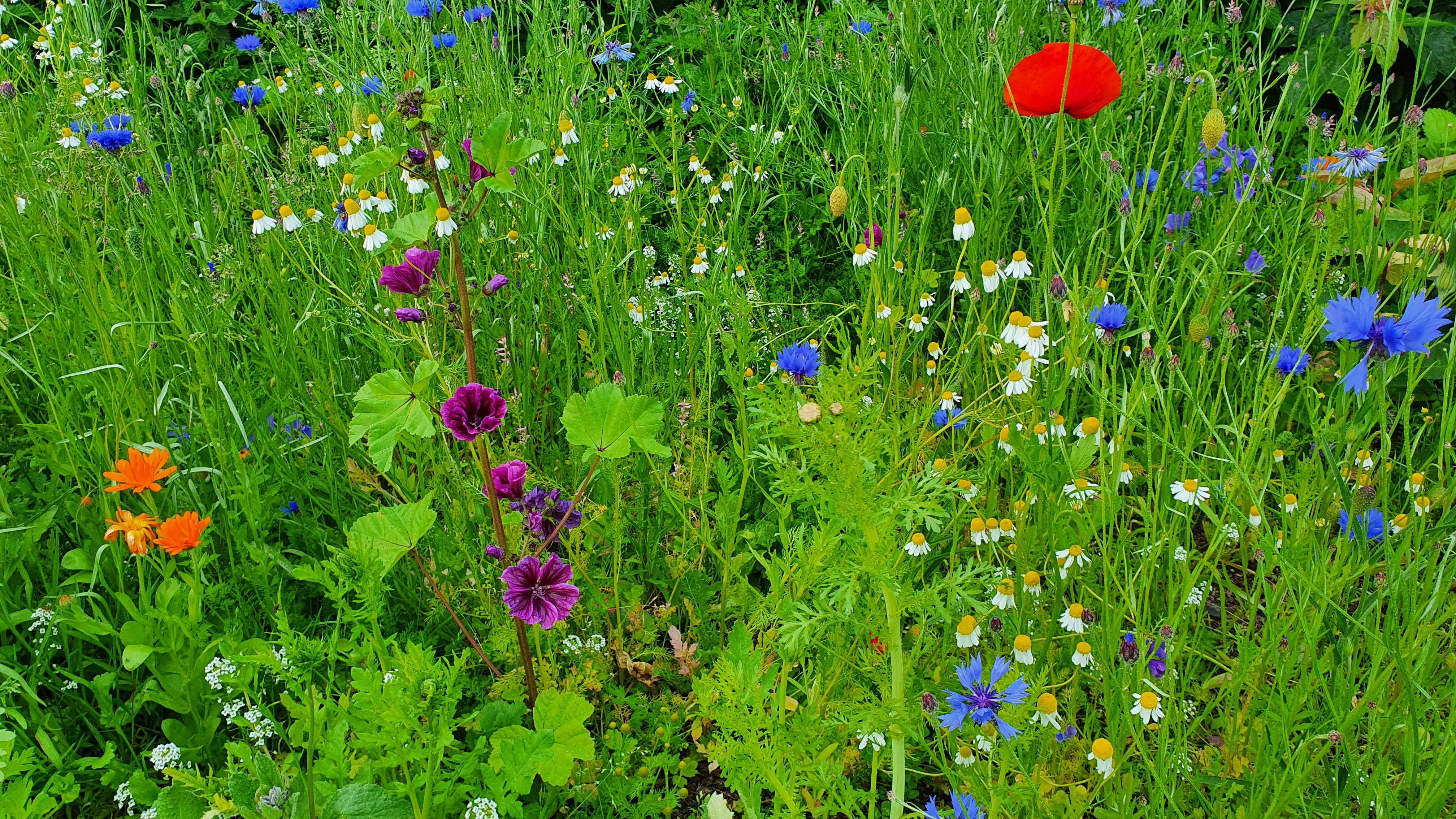 Photo by anna_zhynhel