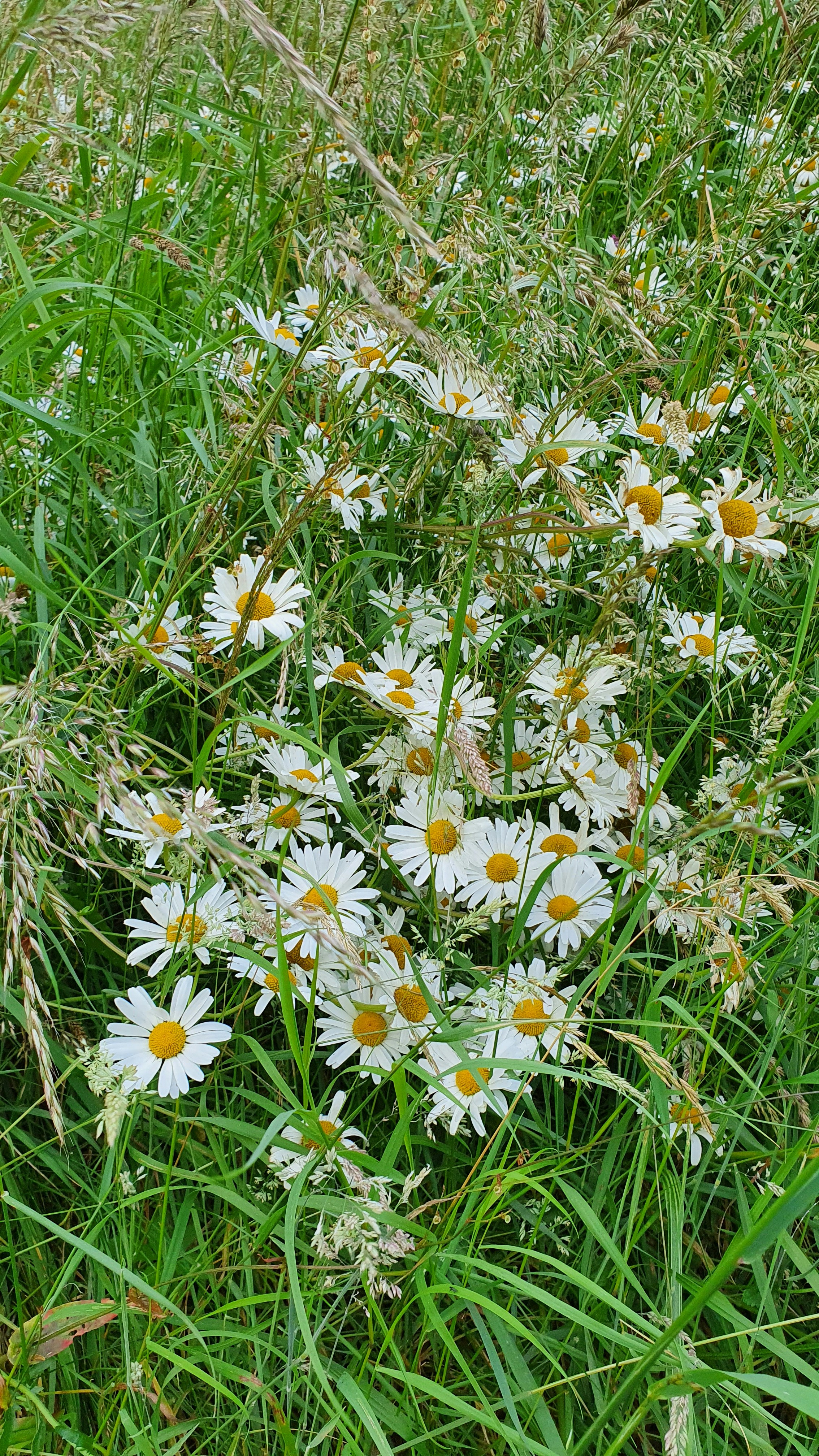 Photo by anna_zhynhel