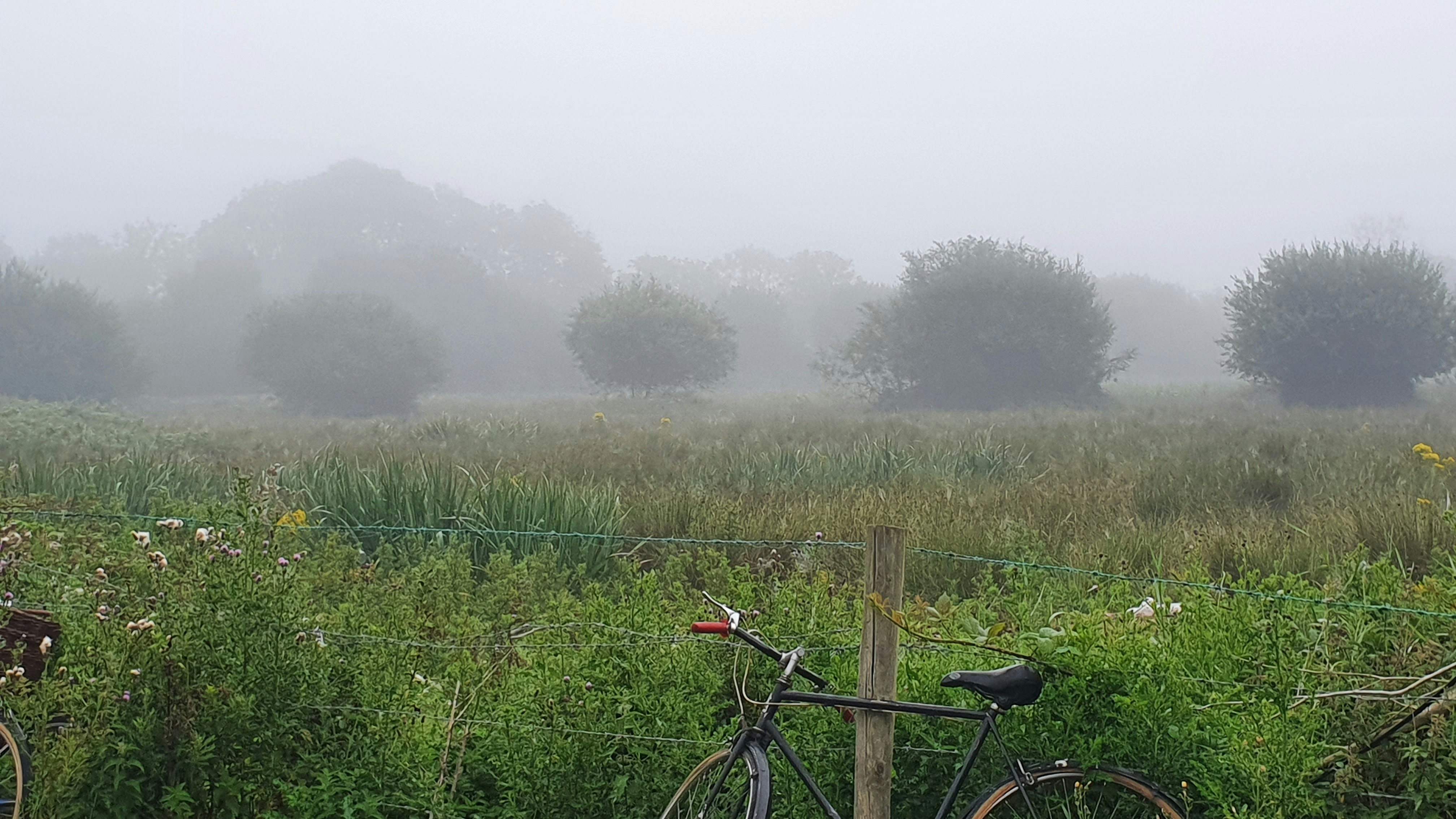 a bike parked next to a fence on a foggy day