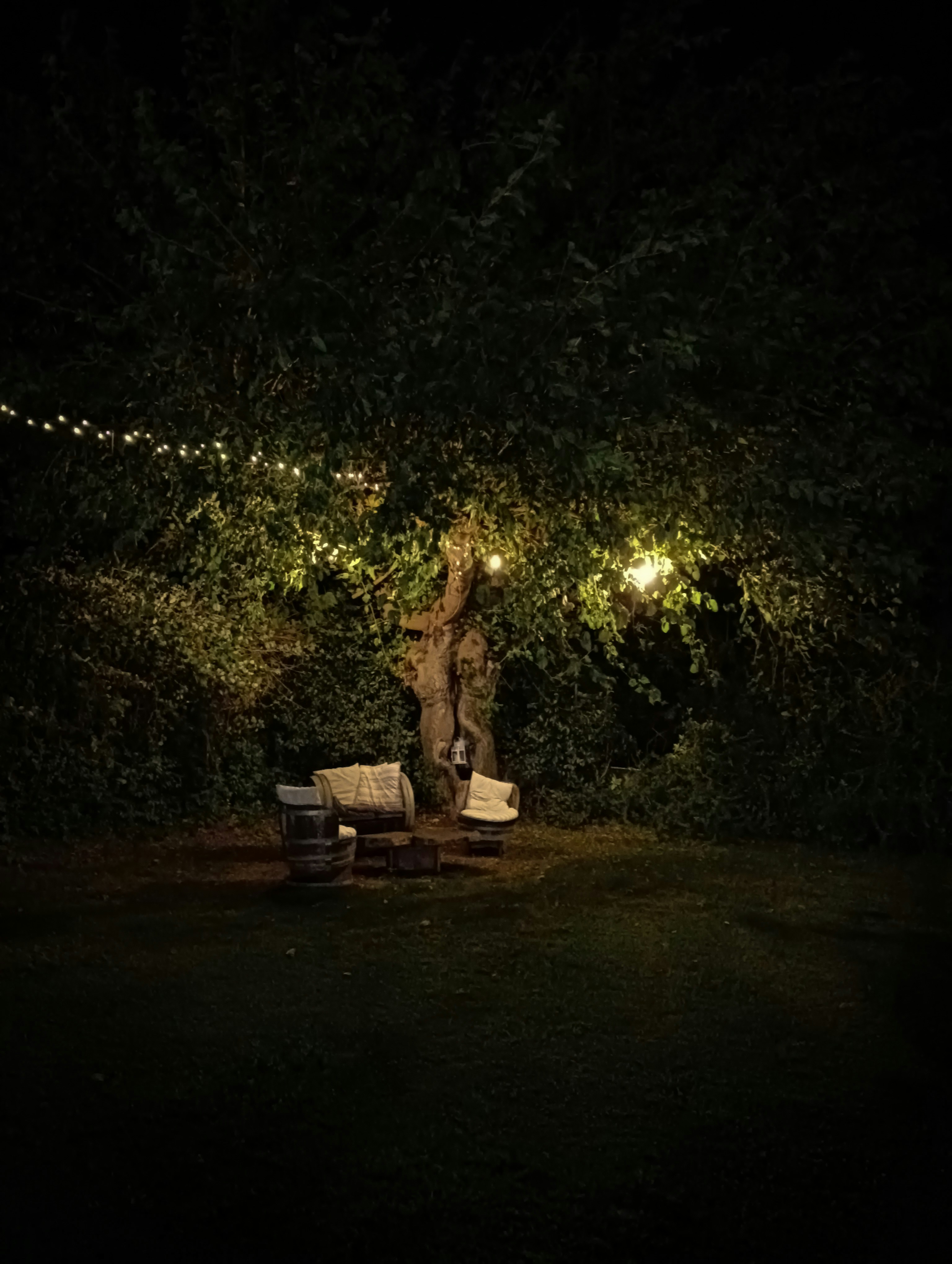 Outdoor terrace with fairy lights and comfortable seating at dusk