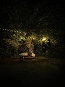 Outdoor farmhouse view at dusk with twinkling fairy lights and cozy seating arrangements for an intimate celebration.