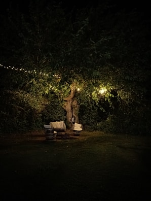 A cozy outdoor space with twinkling fairy lights and seating.