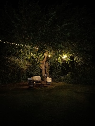 Cozy outdoor garden seating under ancient trees with warm ambient lighting at dusk.