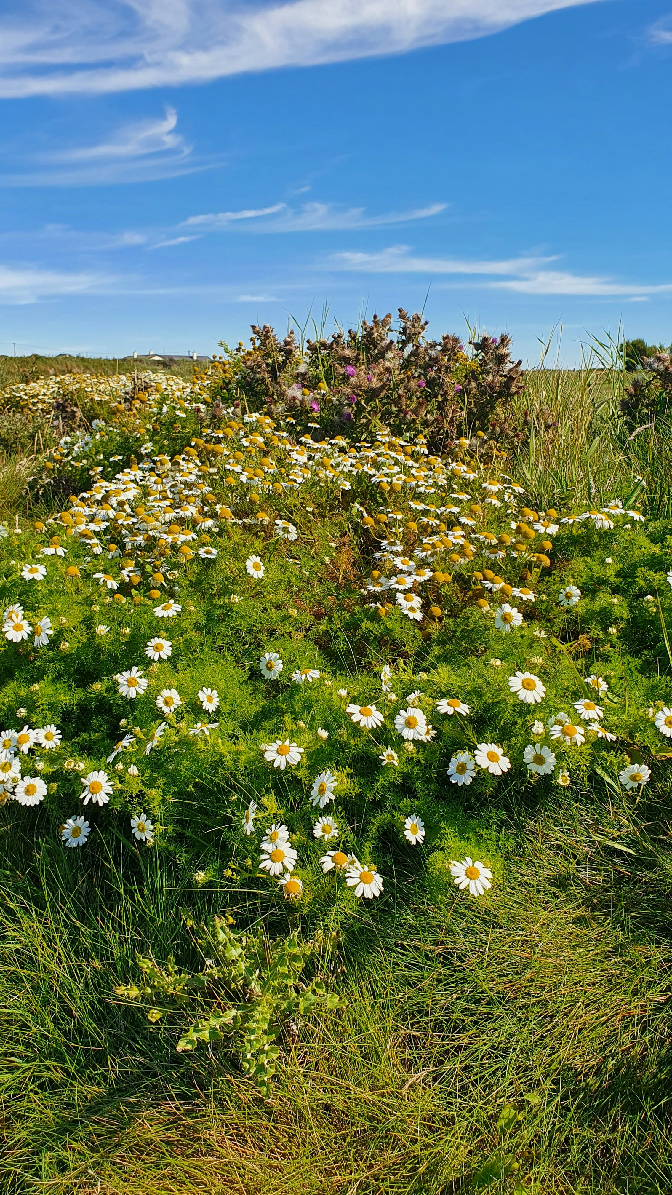 Photo by anna_zhynhel