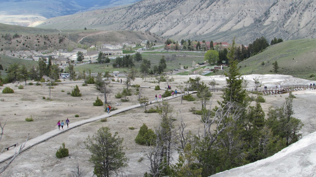 a group of people walking up a hill, Mammoth Hot Springs and Fort Yellowstone area of Yellowstone National Park from abo
