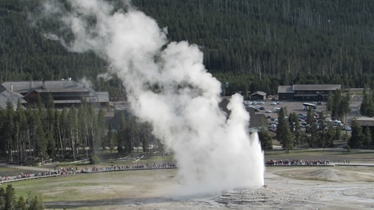 A large plume of steam is erupting from a geyser in a grassy area, surrounded by dense forest and wooden buildings. Numerous people are gathered in a semi-circle at a distance, observing the natural phenomenon. Vehicles are parked in the parking lot near the buildings.
