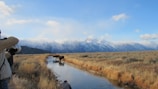 A photographer is capturing images of moose walking through a shallow stream in a vast, open landscape. Snow-capped mountains rise in the background under a clear blue sky, while dry grasses line the sides of the stream.