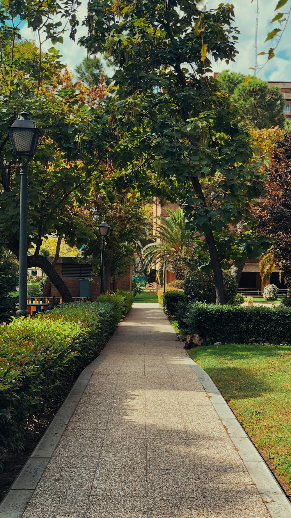 a walkway in a park lined with trees and bushes