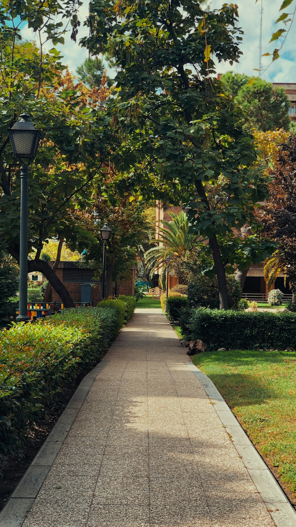 Ein Gehweg in einem von Bäumen und Sträuchern gesäumten Park