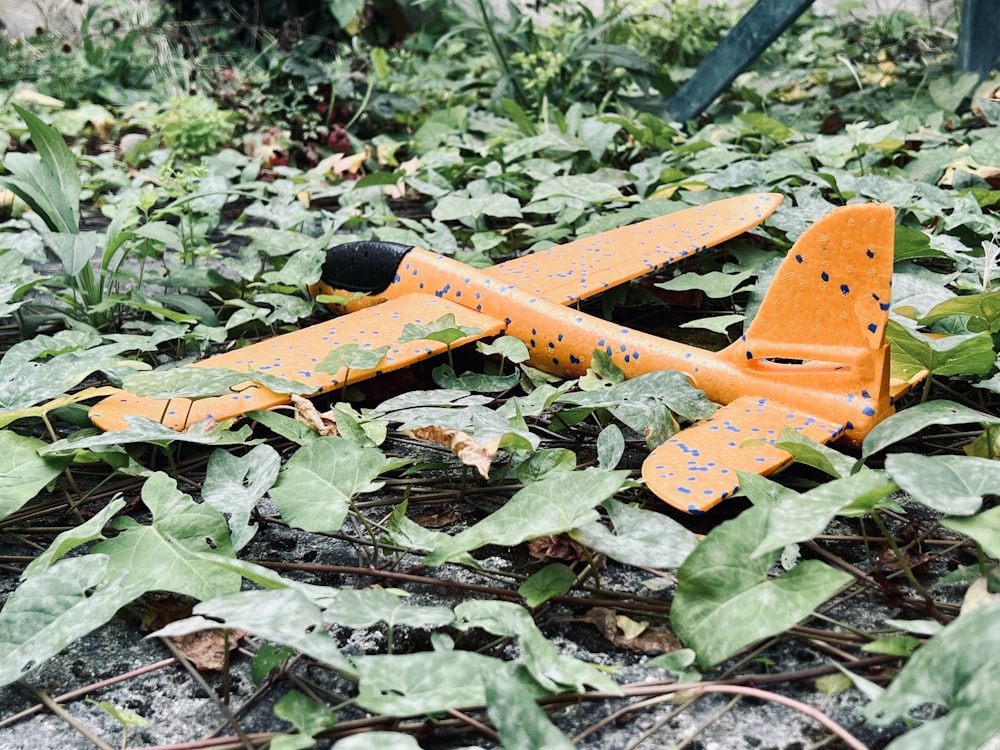 Un avión de juguete sentado en medio de un campo de hojas