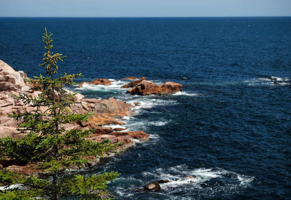 a body of water surrounded by rocks and trees