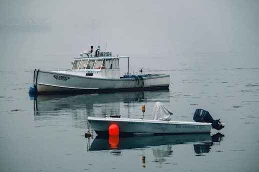 Two boats are floating on calm, foggy waters. The larger boat is white, with a cabin and several antennas on the roof, and the smaller boat appears to have an outboard motor. The atmosphere is serene and misty, with reflections visible on the water surface.