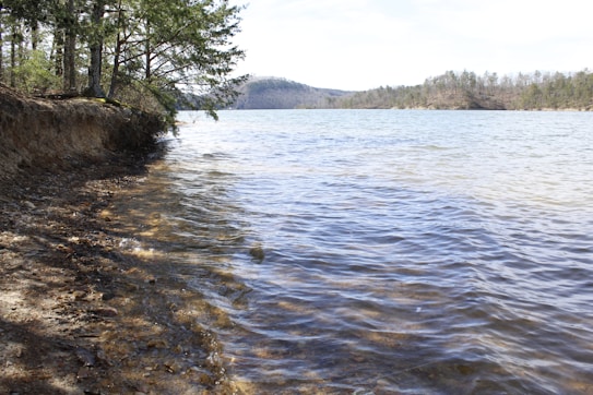 The image depicts a tranquil lakeside scene with clear blue water gently lapping against a rocky, sandy shoreline. On the left, there is a dense cluster of green pine trees providing shade over the shore. The background features a hilly landscape covered with more forested areas, under a bright, partly cloudy sky.