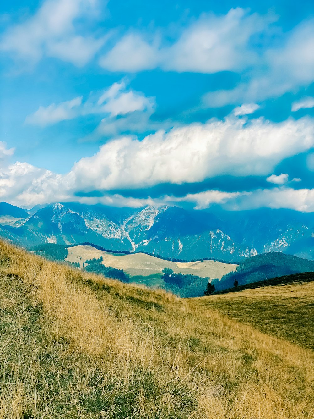 a grassy hill with mountains in the background