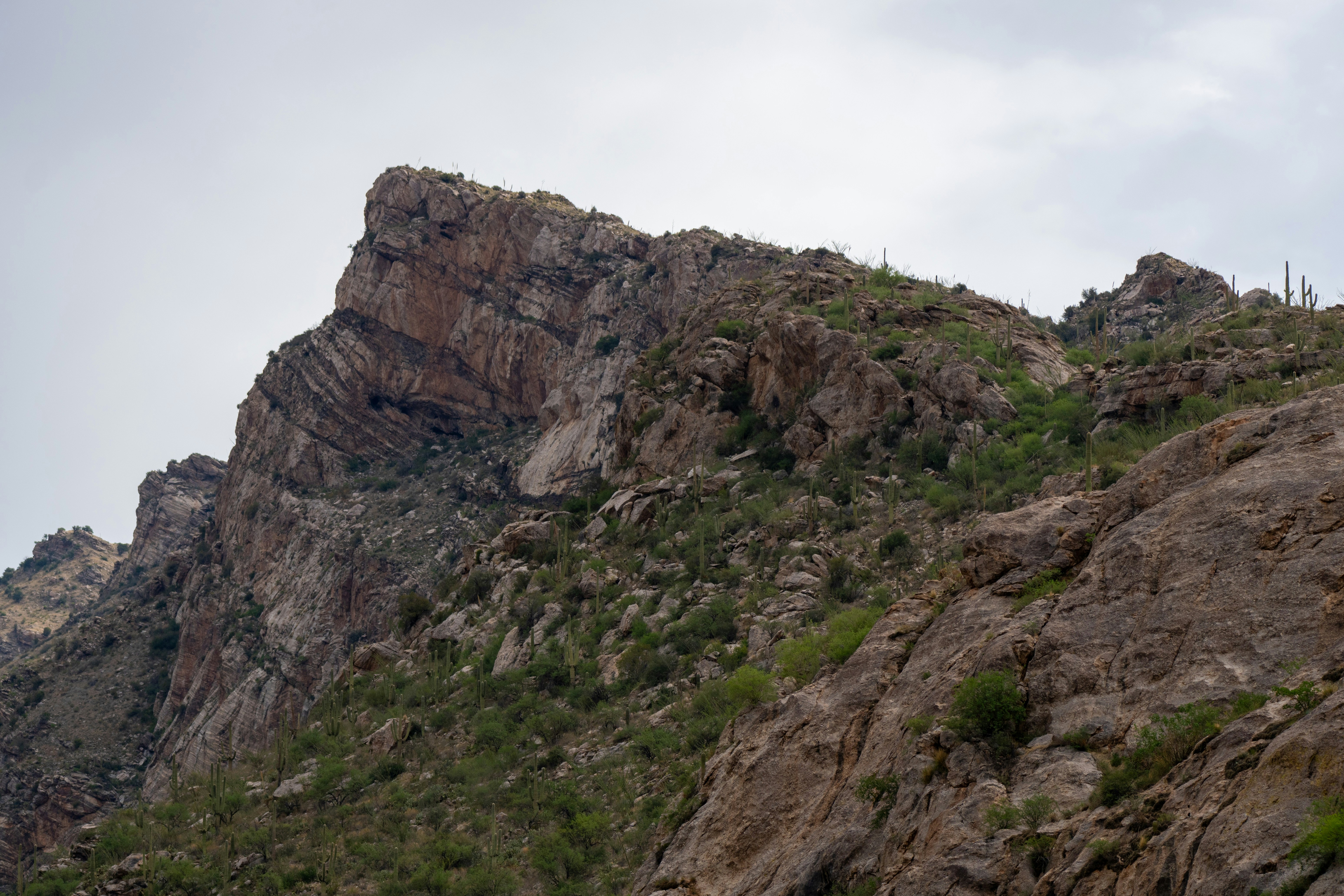 Photo by jcnonstop87