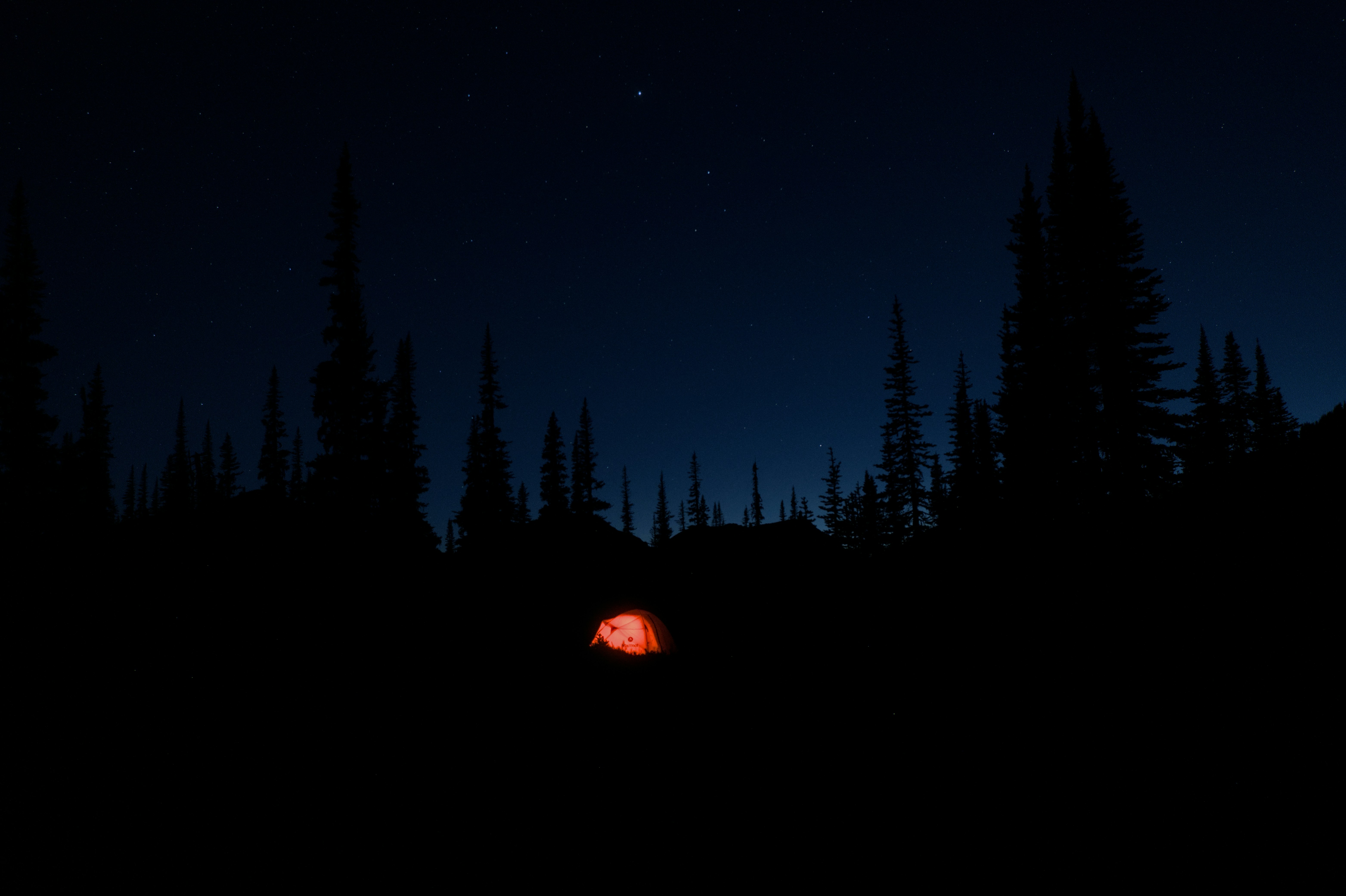 a red tent in the middle of a forest at night