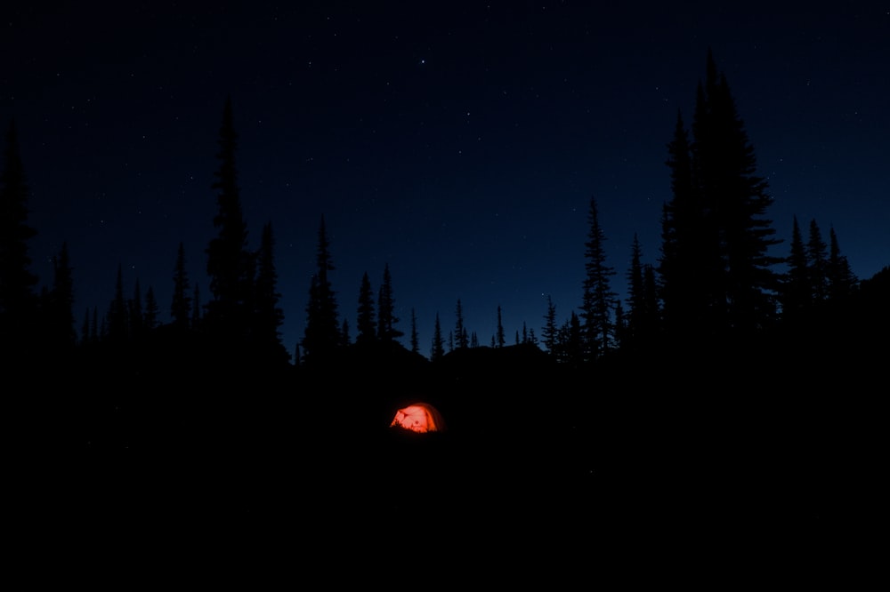 a red tent in the middle of a forest at night
