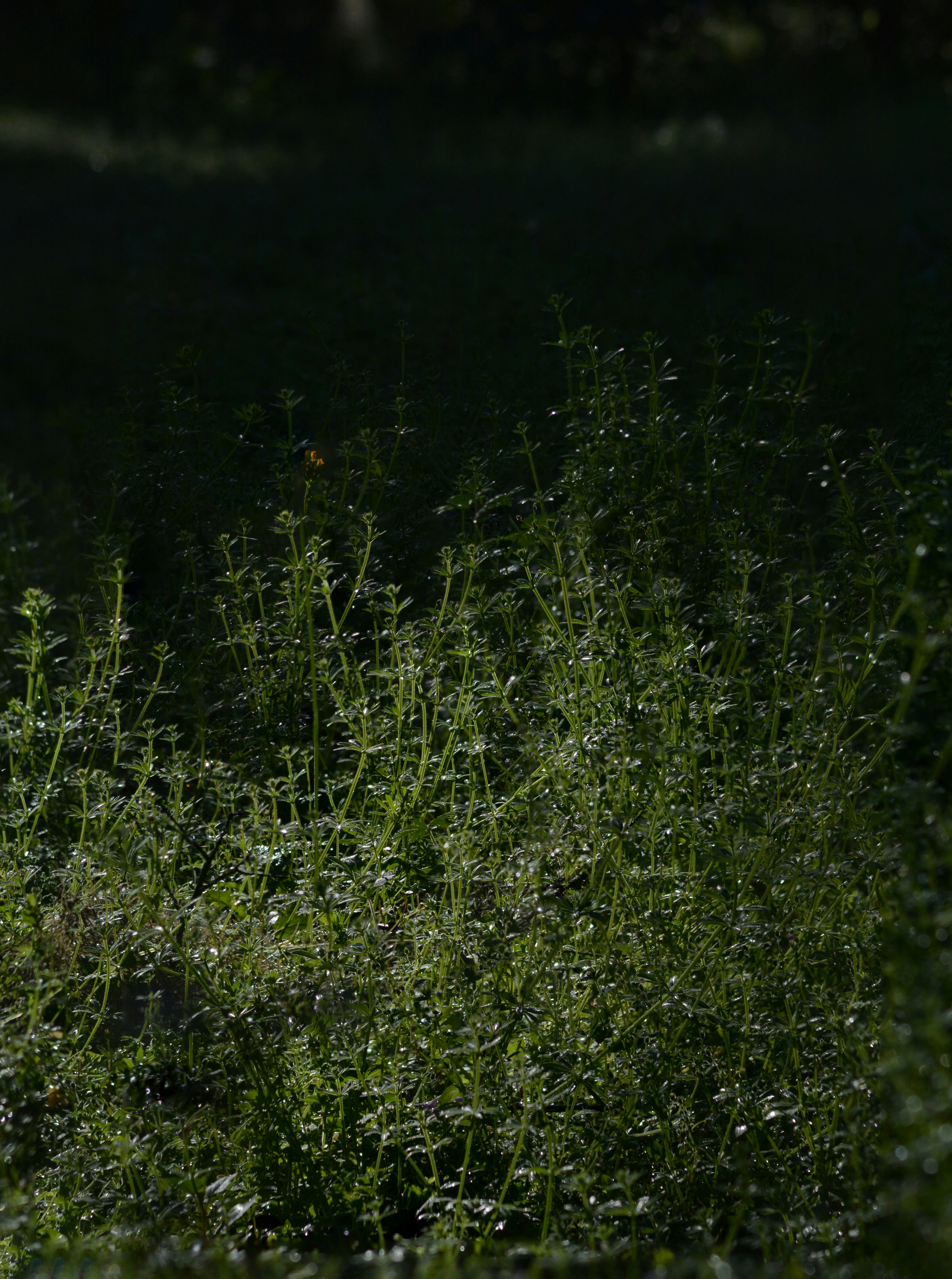 Photo by astro_civil