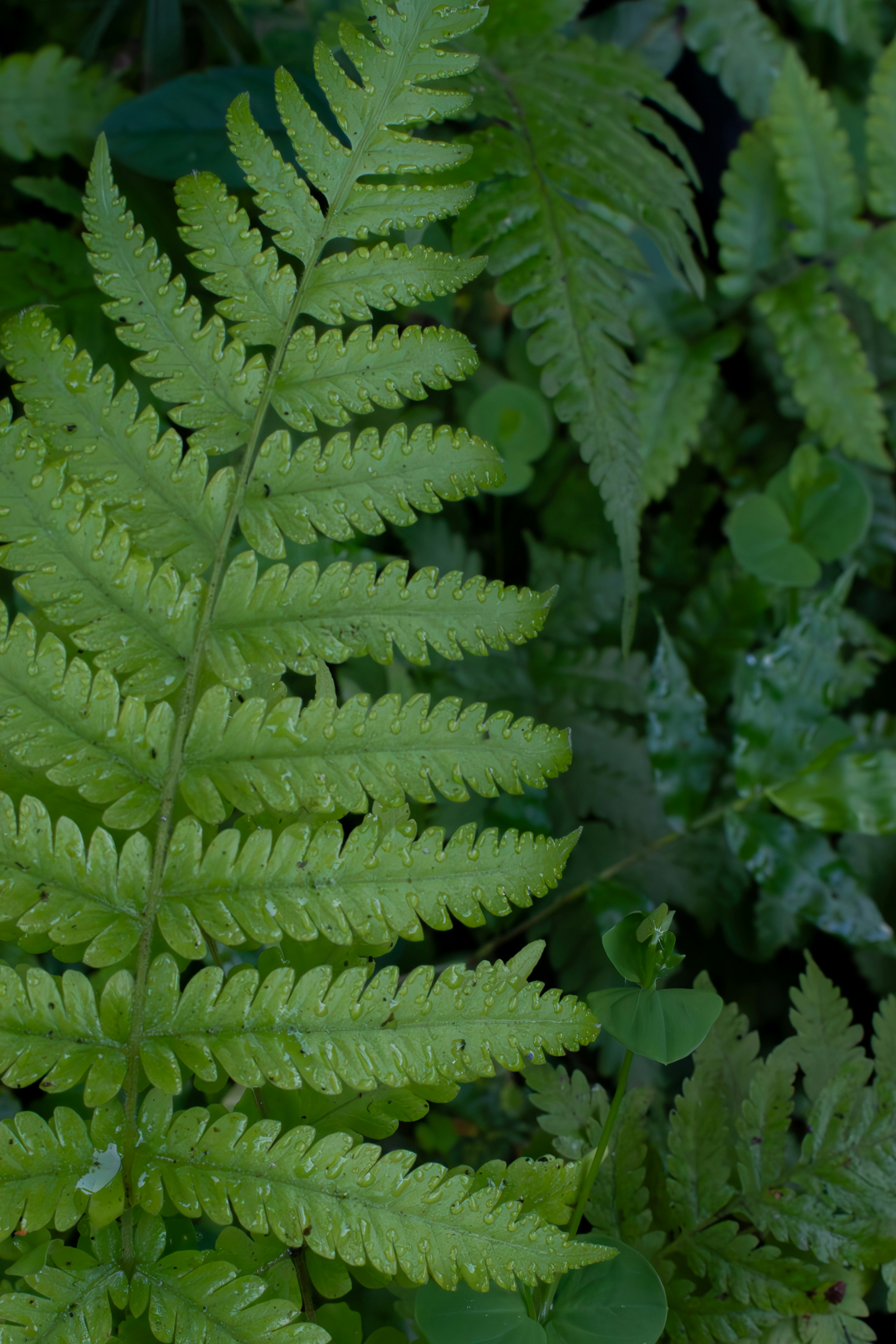 Photo by astro_civil