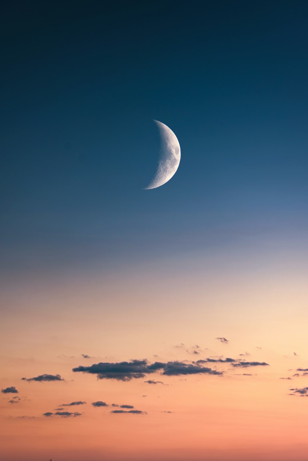 a half moon is seen in the sky