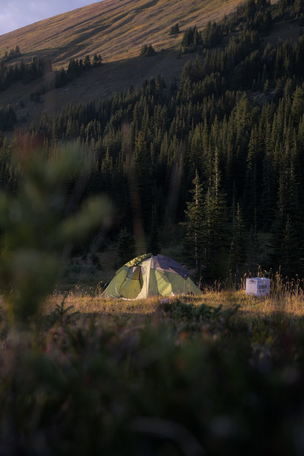 a tent pitched up in a field with trees in the background