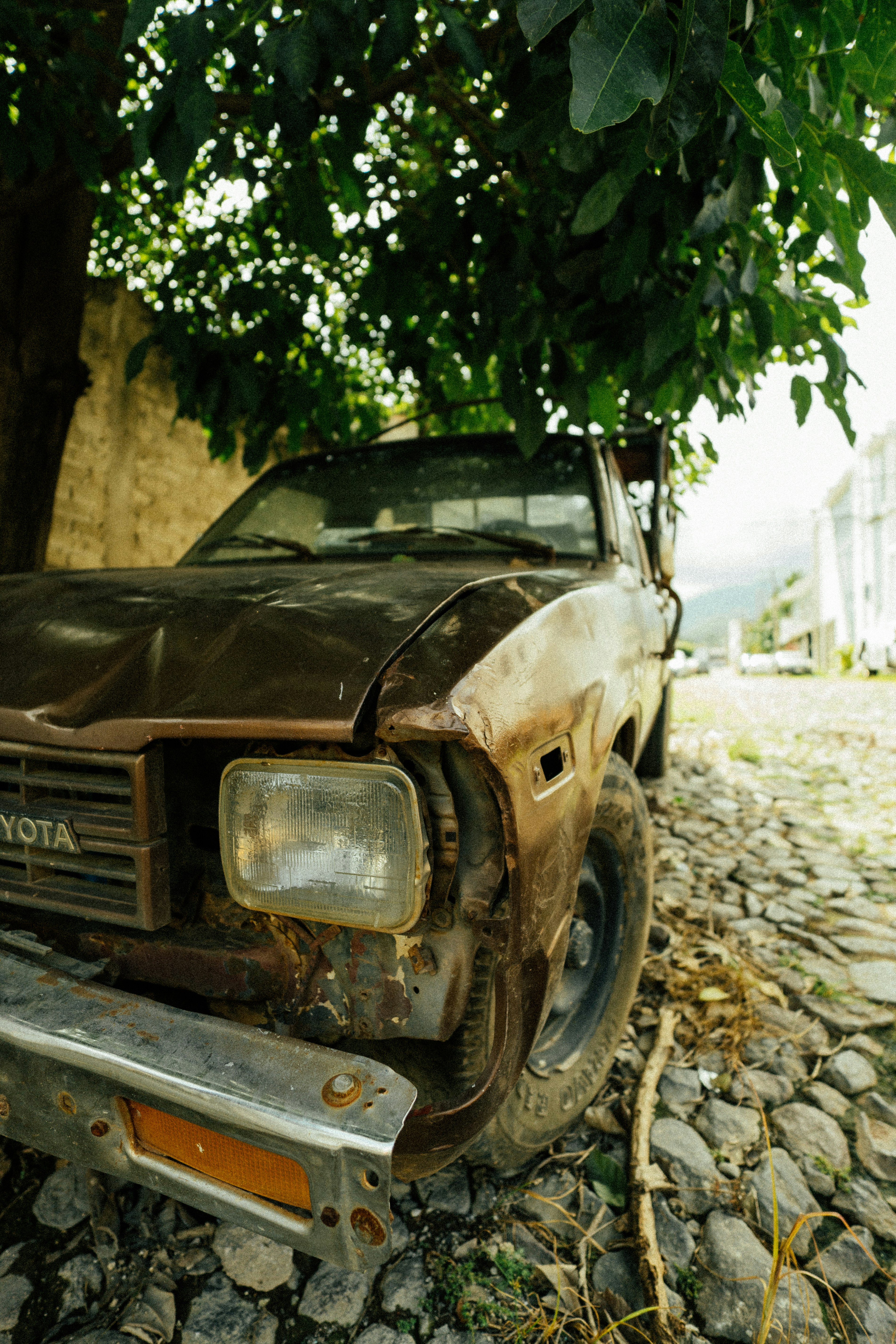 Photo by jonathecreator