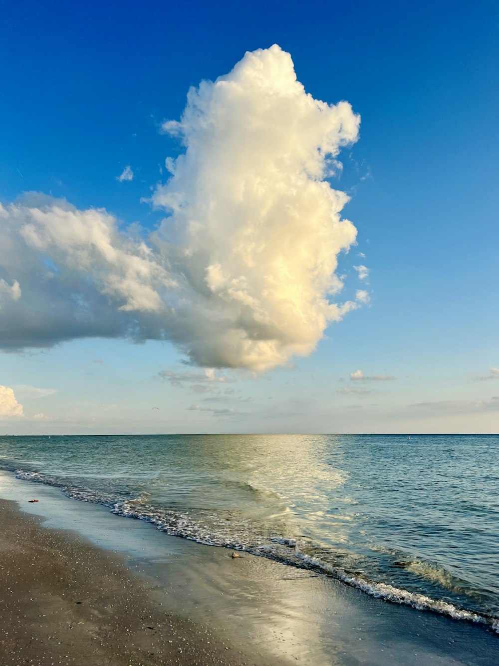 uma praia com uma grande nuvem no céu